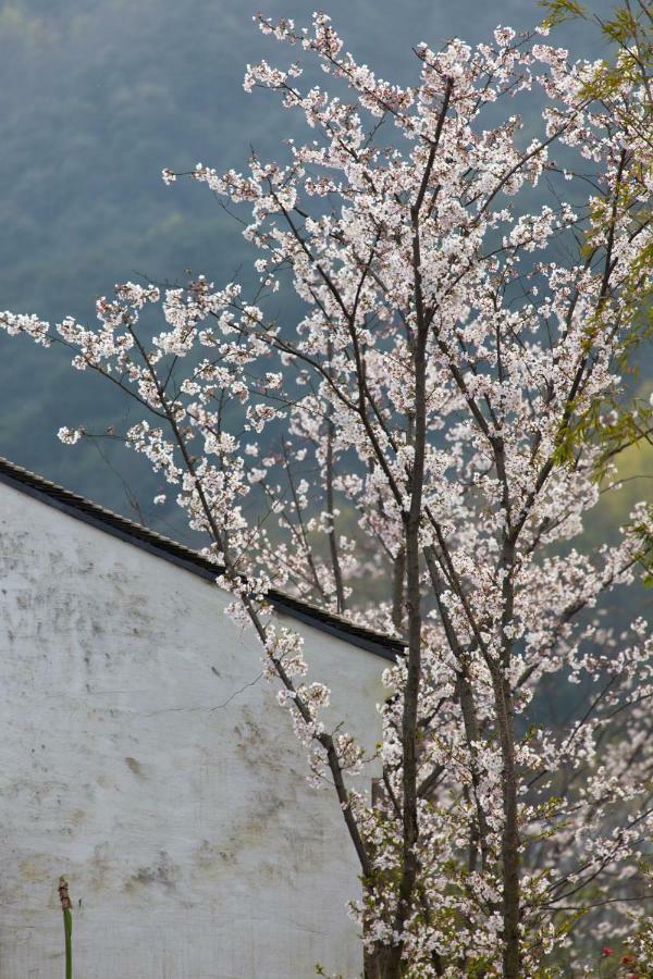 Hotel Pusen Lanting Shaoxing Exterior foto